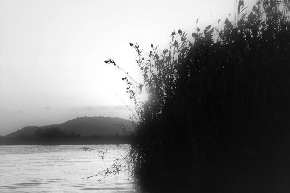 Photograph by Оксана Соколова