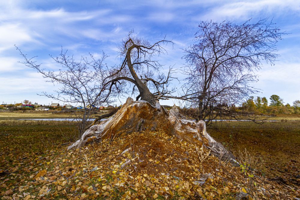 Photograph by Игорь Кутний