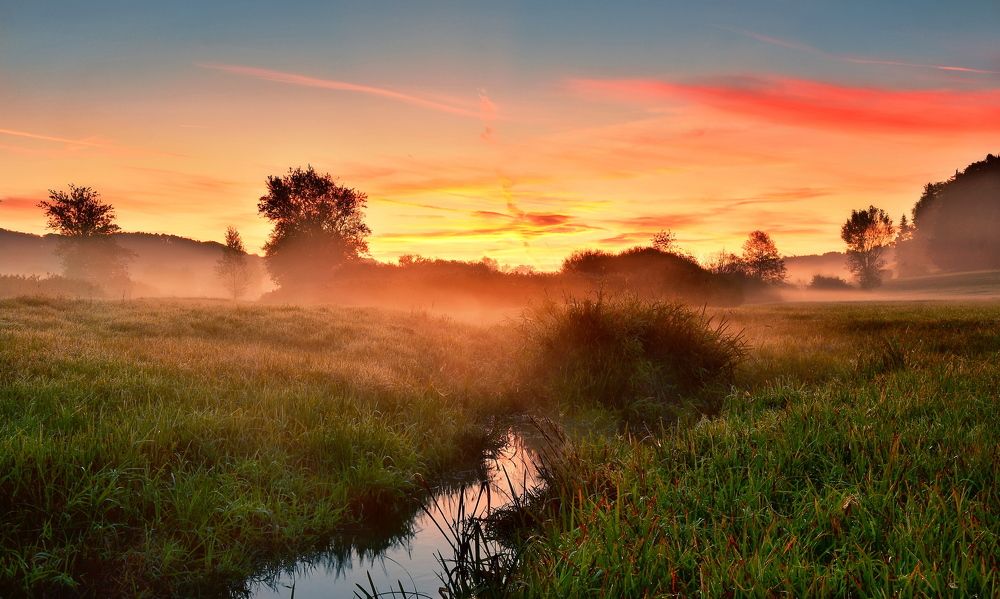 Photograph by Elena Wymann