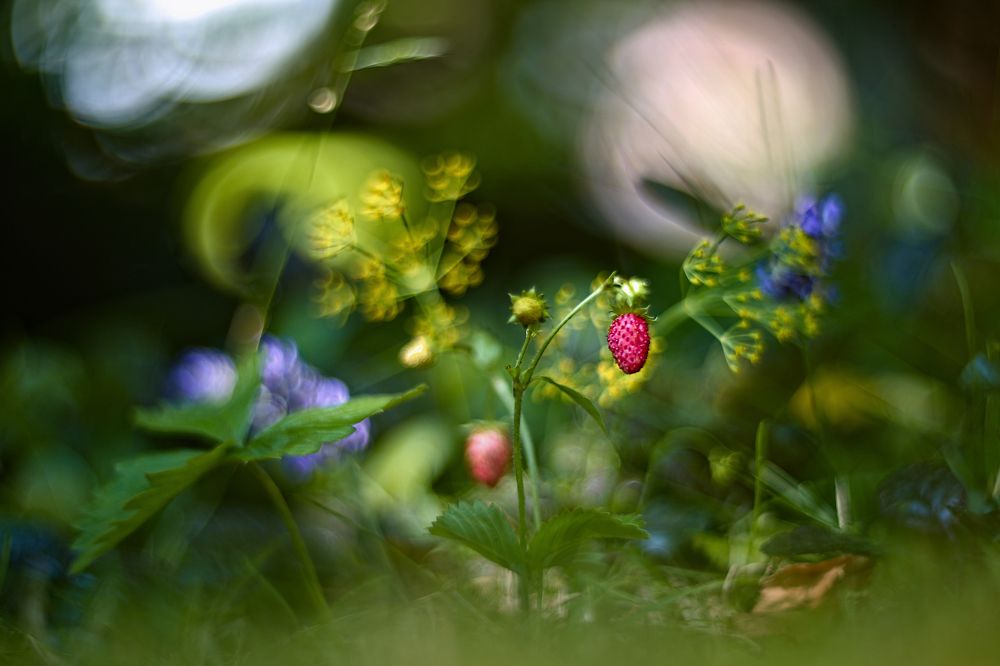 Photograph by Эдуард Колобошников