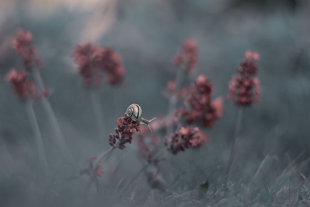 Photograph by Эдуард Колобошников