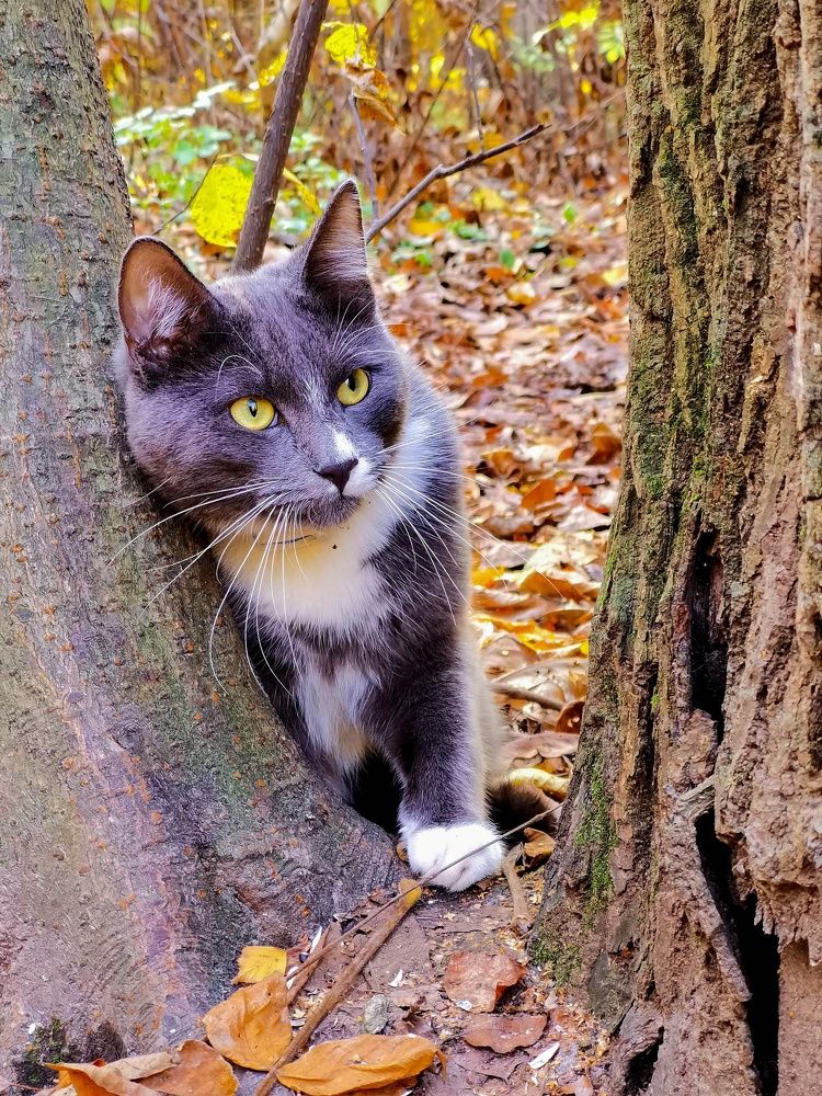 Photograph by Юлия