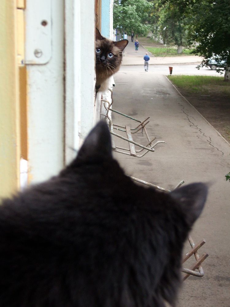 Photograph by Ольга Садилова