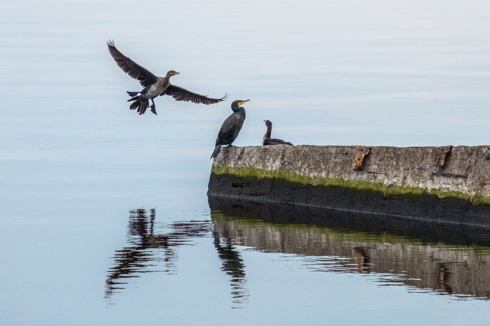 Photograph by Юрий Жарков