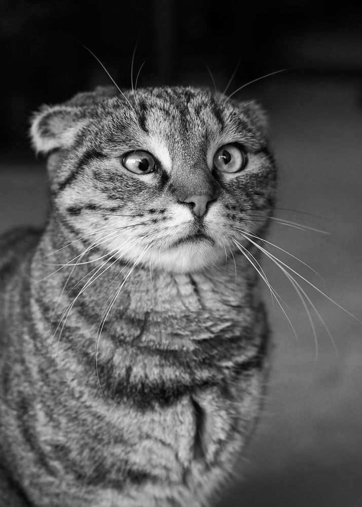 Photograph by Лейла Прощина