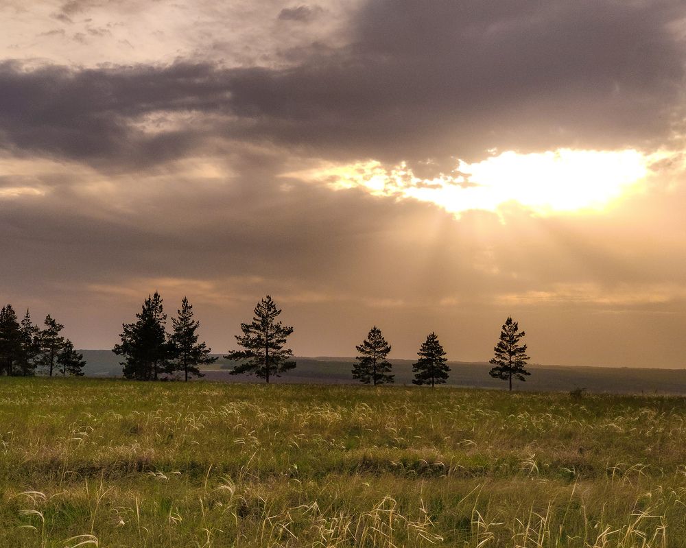 Photograph by Бобкин Алексей