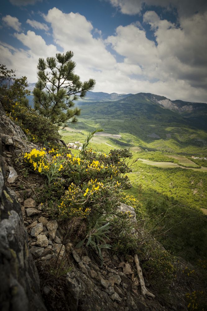 Photograph by Andrey