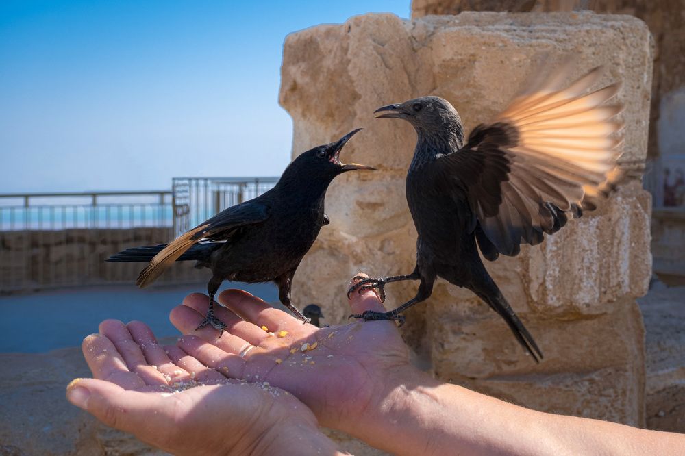 Photograph by Алёна Думнова