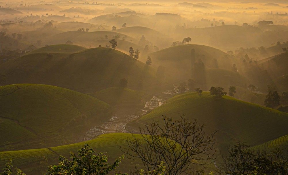 Photograph by Hanh P. T. Pham