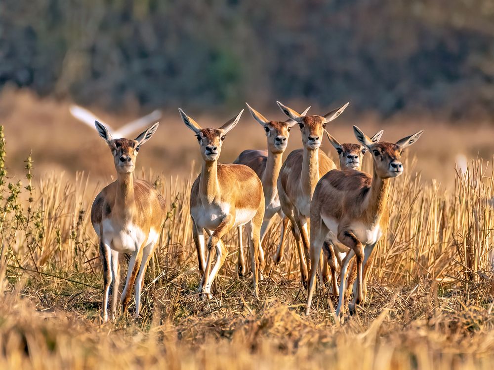 Photograph by Sourav Ganguli