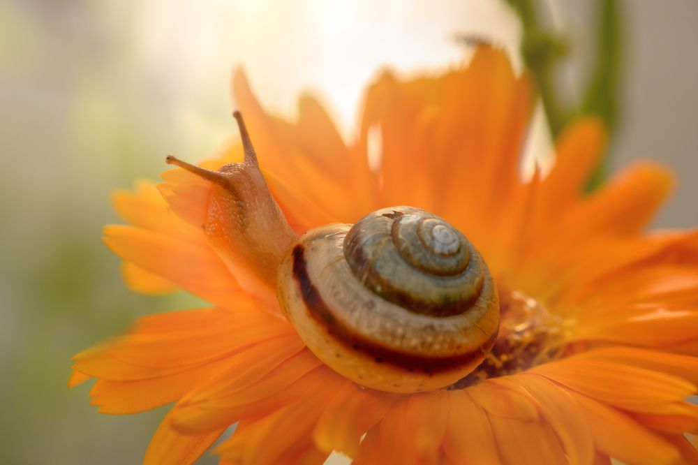 Photograph by Татьяна Винничук