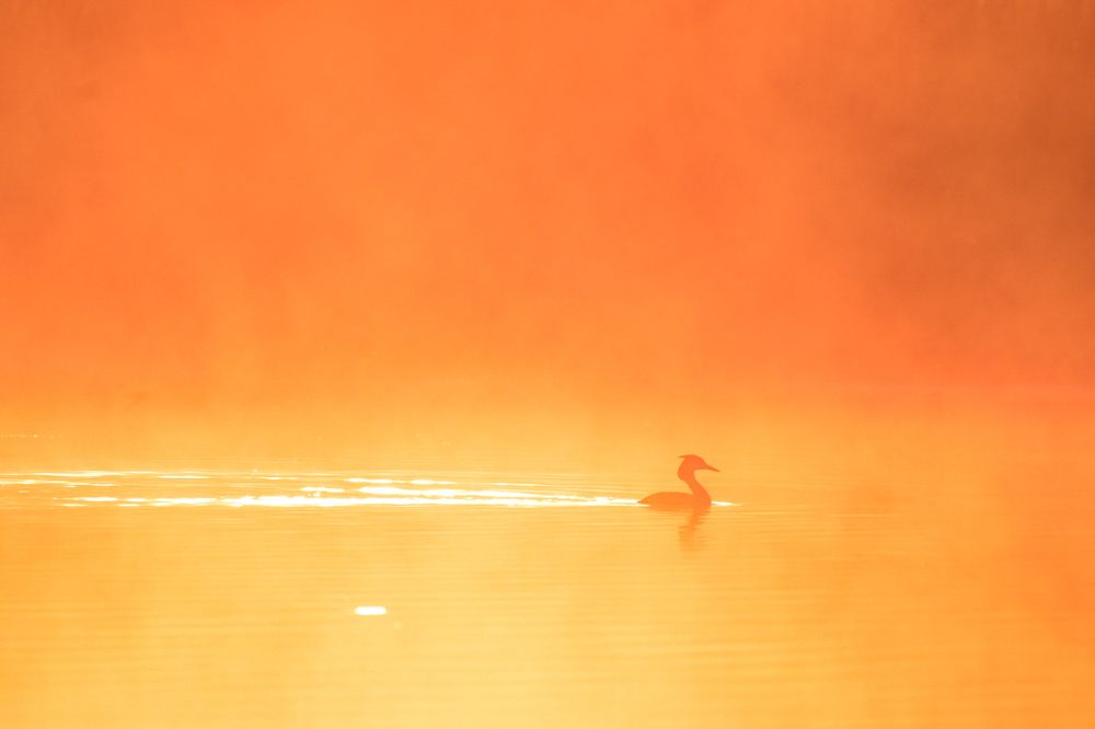 Photograph by Татьяна Винничук