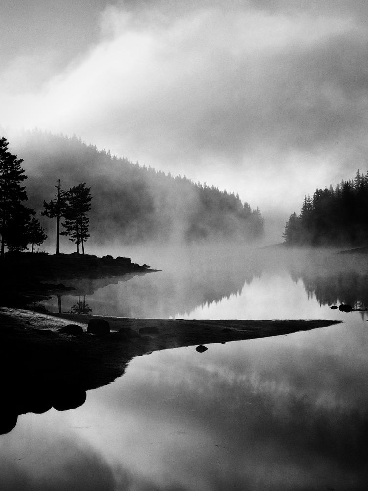 Фотография автора Герчев Николай