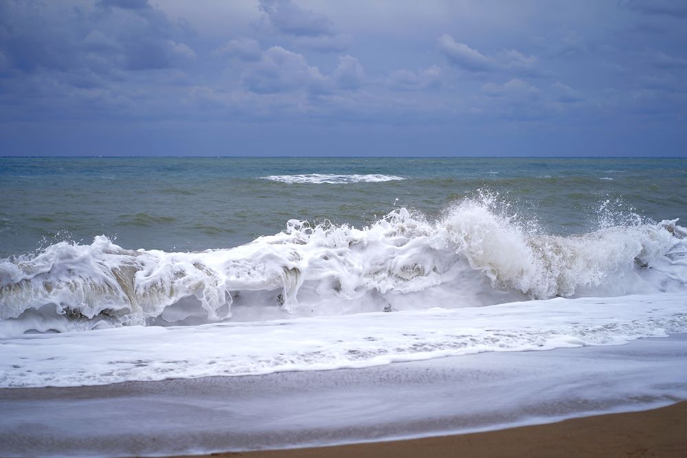 Photograph by Алина Игошева