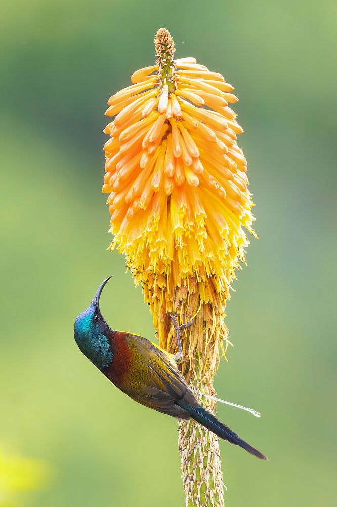 Photograph by Biswadip Ghosh