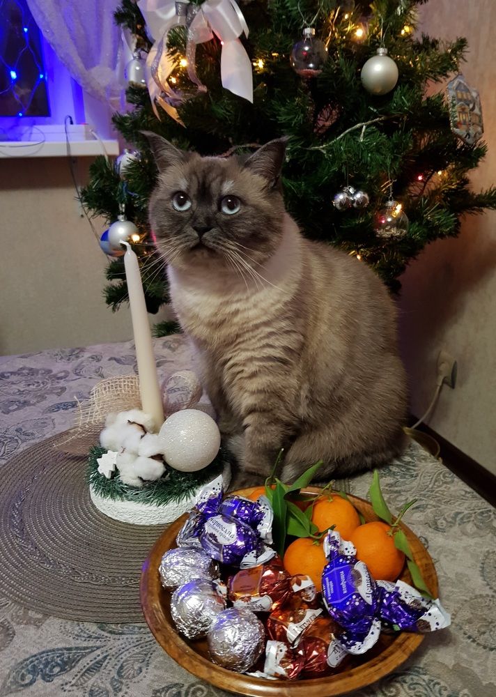 Photograph by Наталья Королева