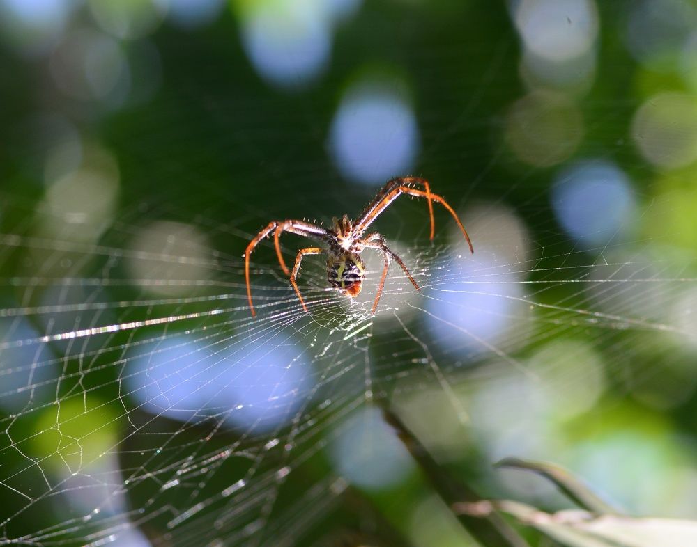 Photograph by Rajesh Kashyap