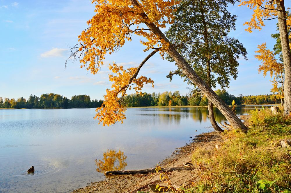 Photograph by Александр Калегин