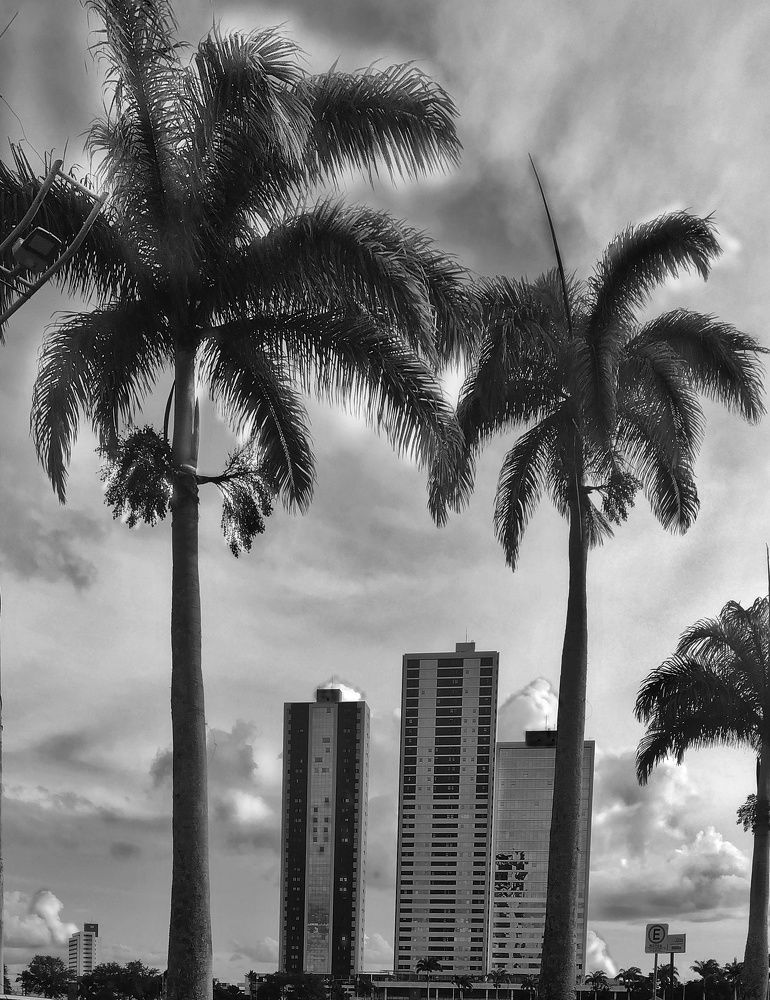 Photograph by Niedja Araujo