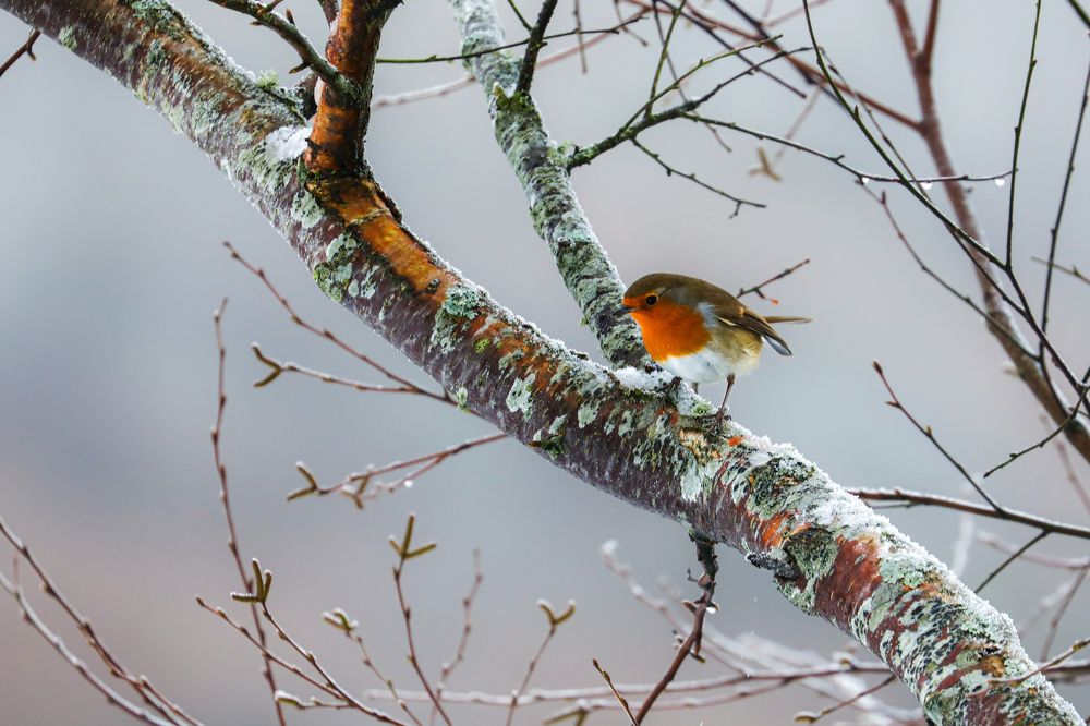 Photograph by Yaniv Abramovitz