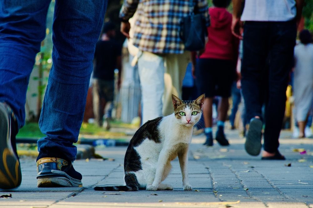 Photograph by Дмитрий Боровистов