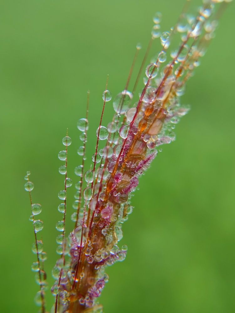 Photograph by Pandey Ji