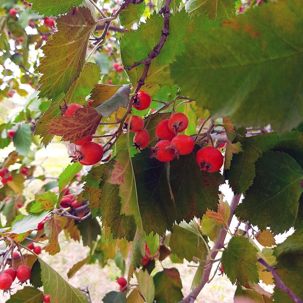 Photograph by Марина Набиулина