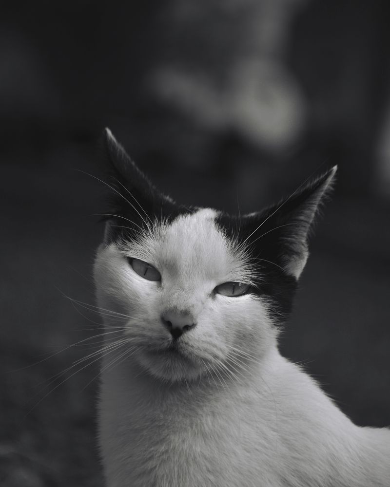 Photograph by Mohamad hamdani