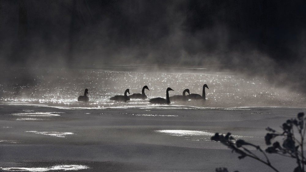 Photograph by Ирина Круглова