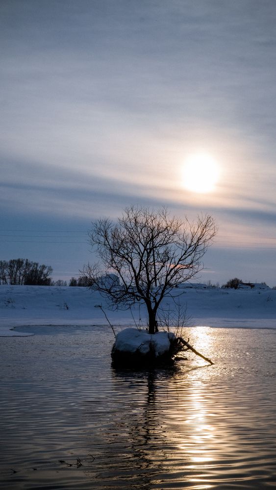 Photograph by Черных Елена