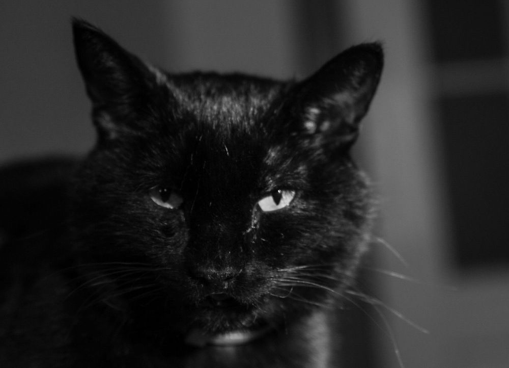 Photograph by Анна Озякова