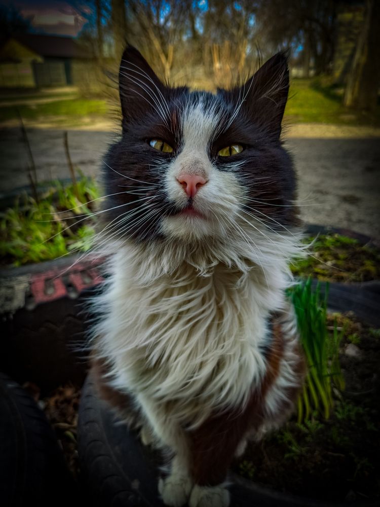 Photograph by Тимур Мулла-Галеев