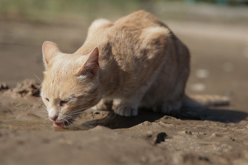 Photograph by Анна Озякова