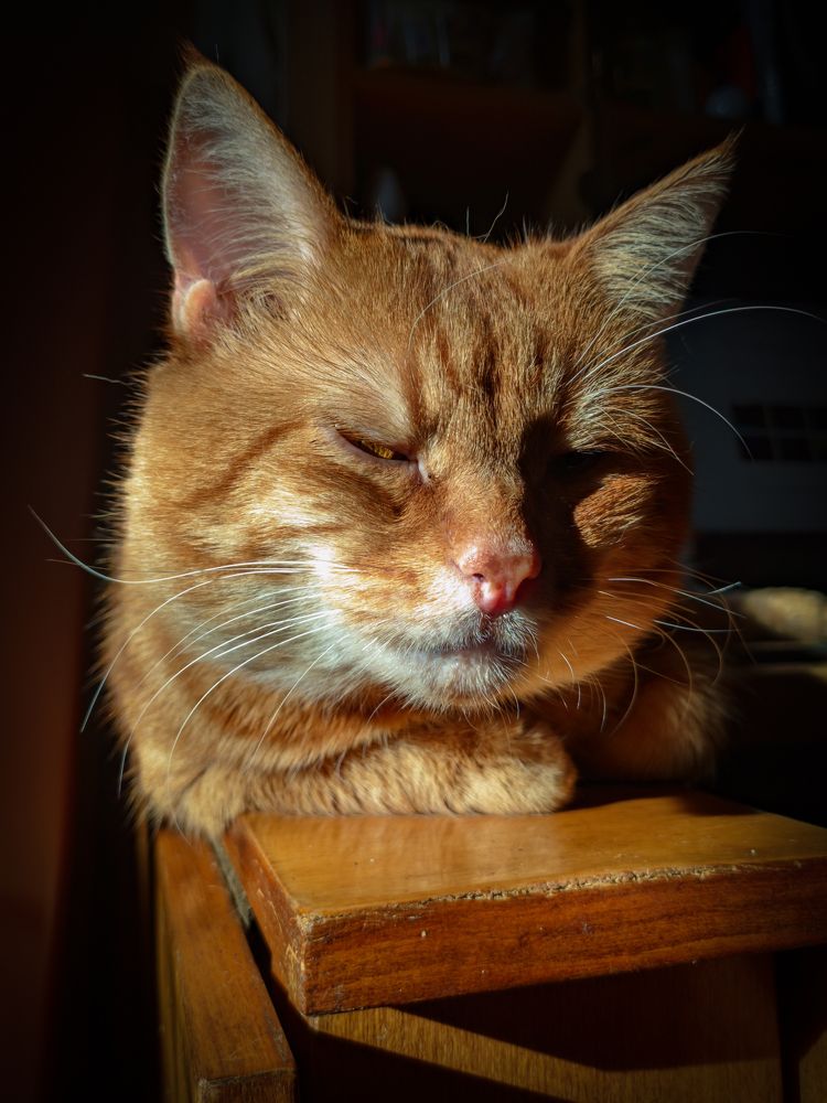 Photograph by Тимур Мулла-Галеев