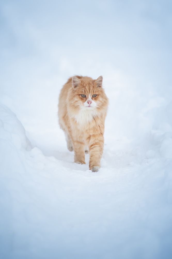 Photograph by Tatiana Kozlova