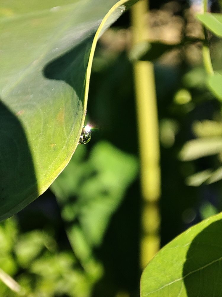 Photograph by Rupanjan Dasgupta