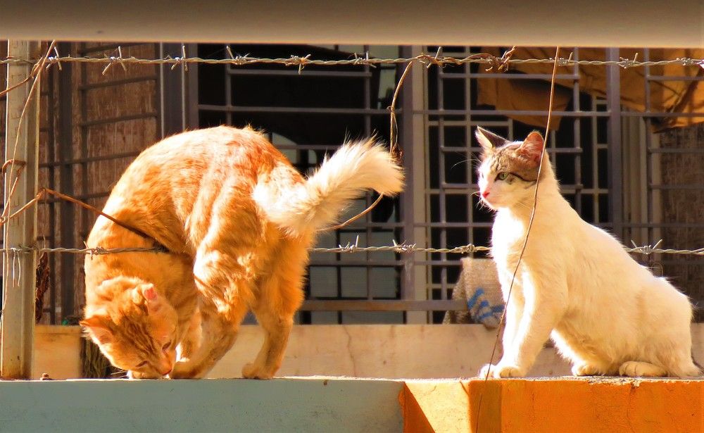 Photograph by ANISH BISWAS