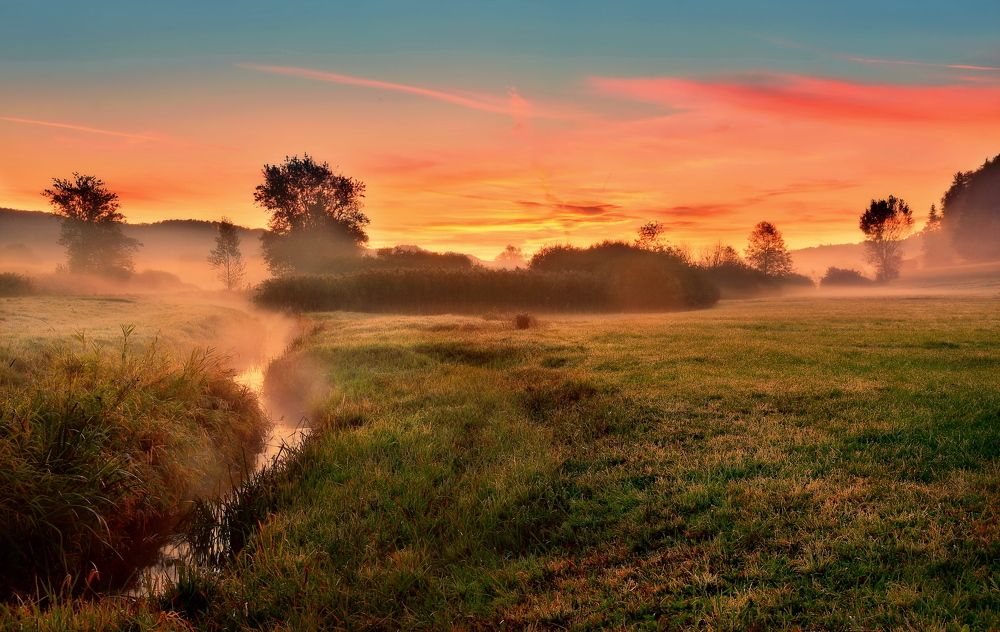 Photograph by Elena Wymann