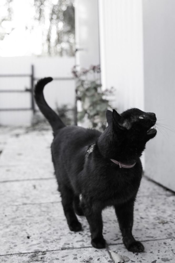 Photograph by Анна Озякова