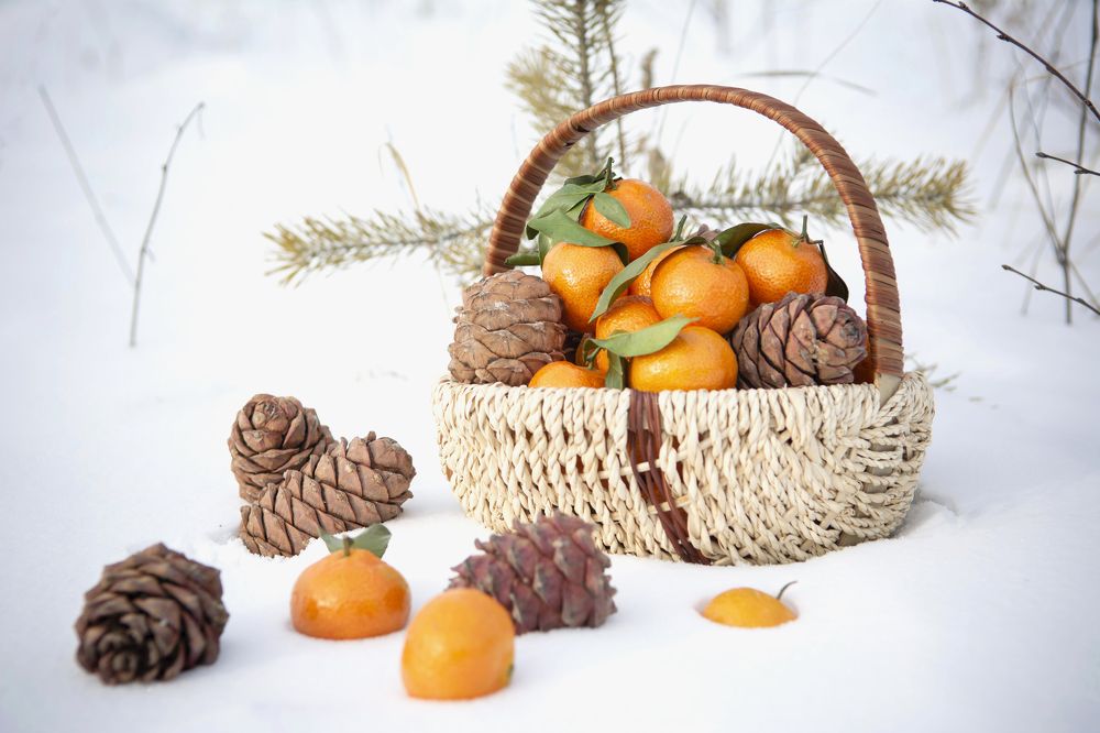 Photograph by Надежда Кажура