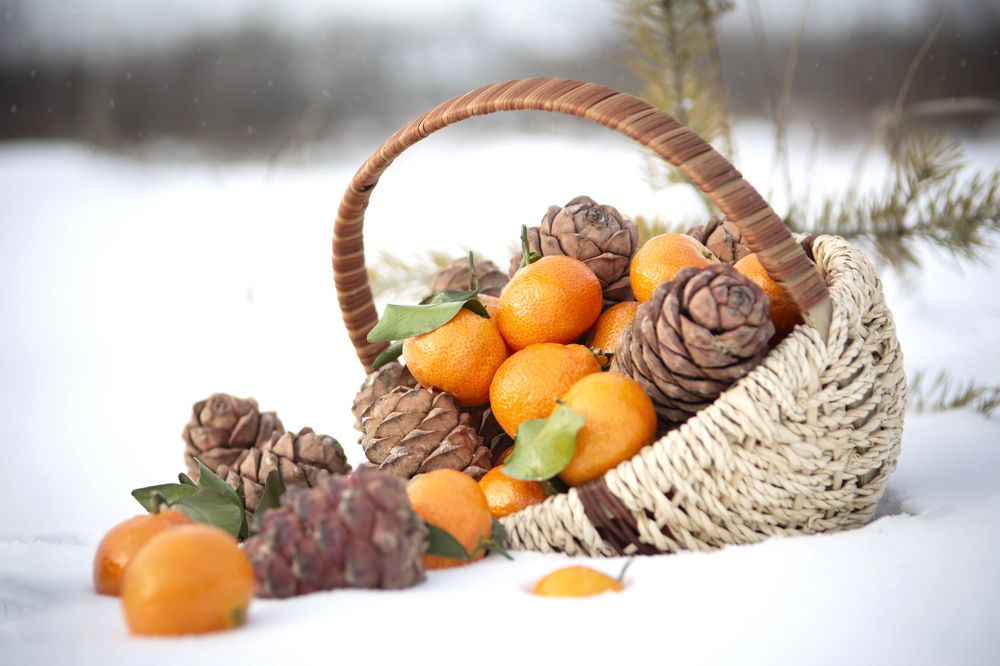 Photograph by Надежда Кажура