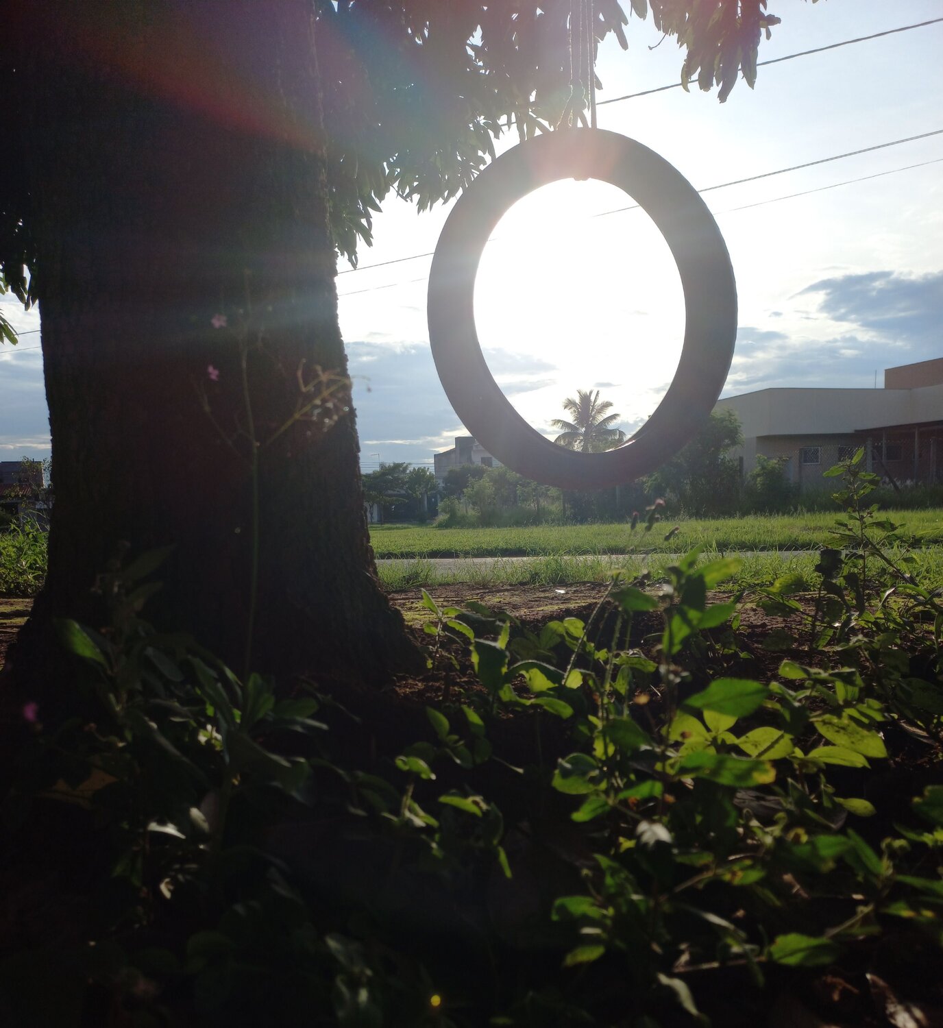 Swing of life