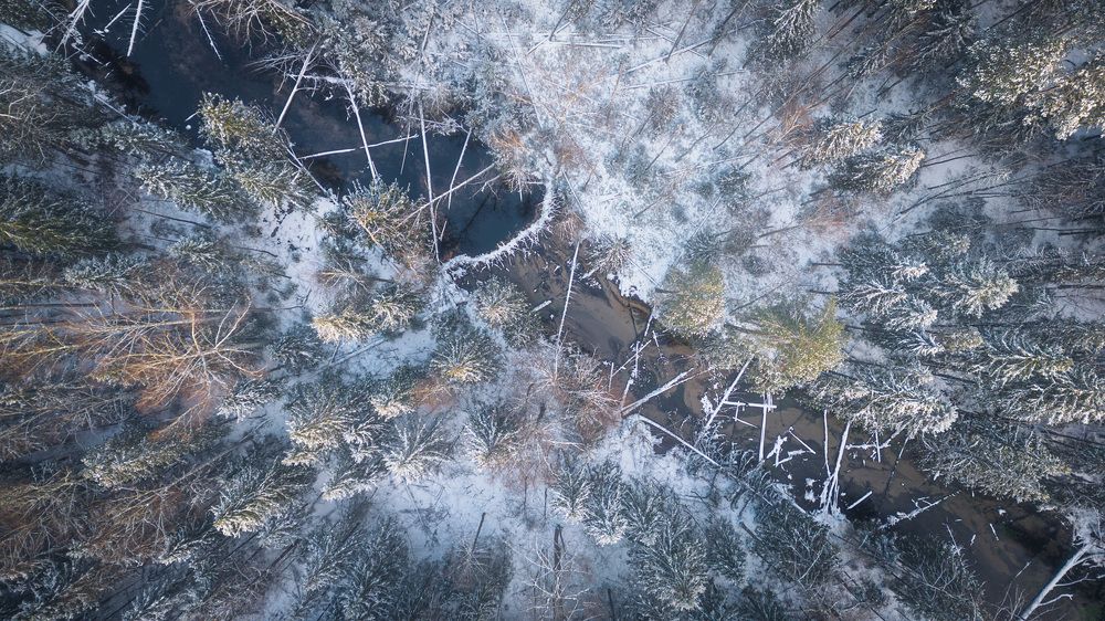 Photograph by Владимир Бессолицын