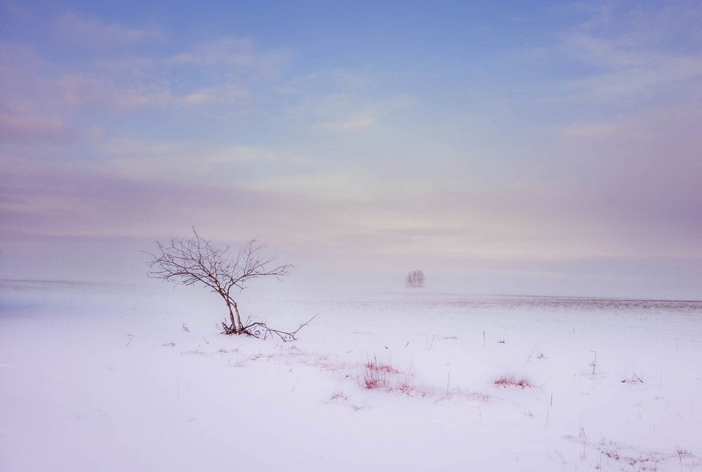 Photograph by Сильва Татьяна