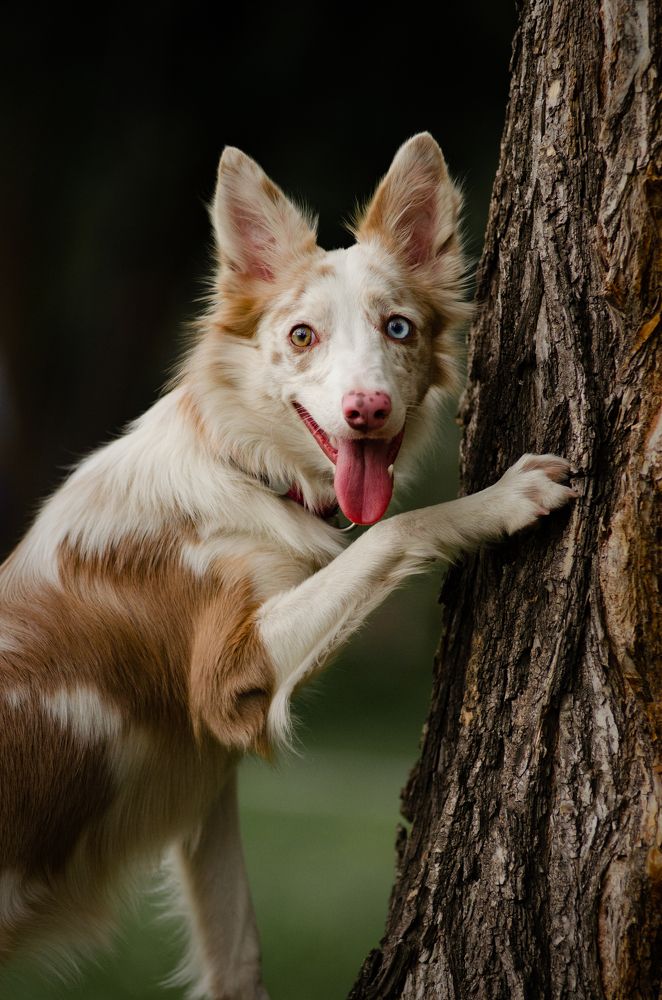 Photograph by Алиса Пономаренко
