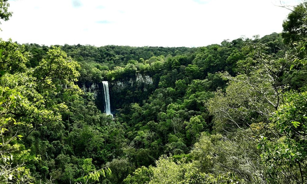 Photograph by Tanaaa