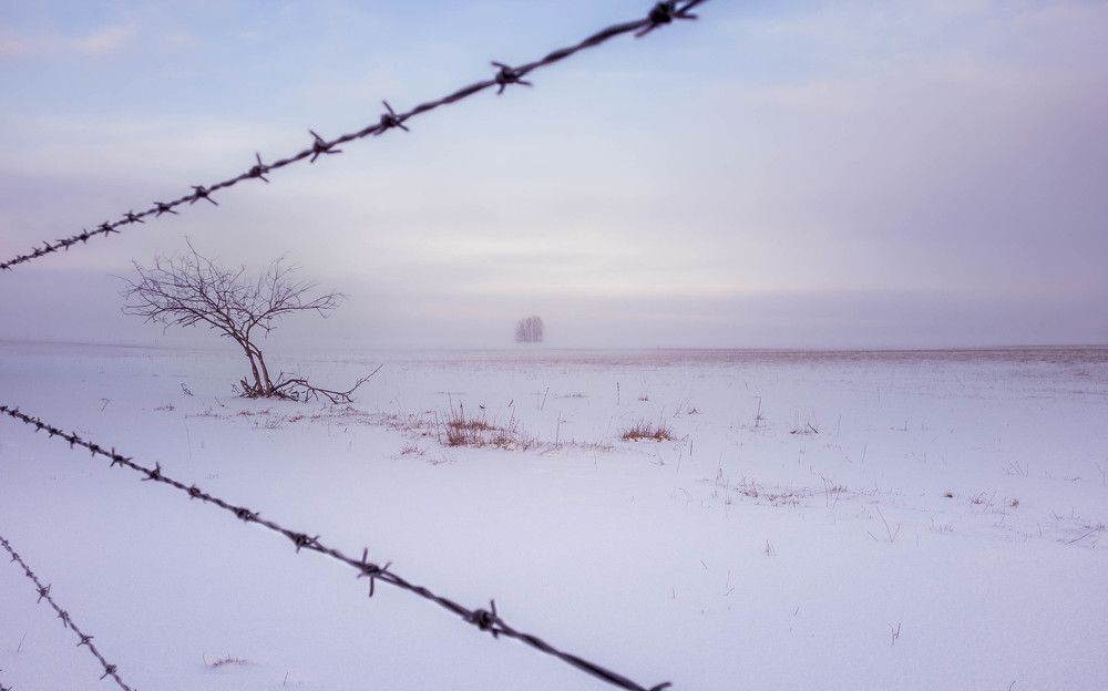 Photograph by Сильва Татьяна