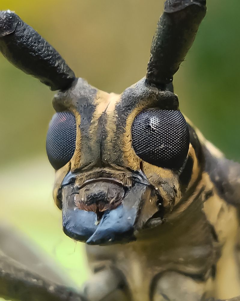 Photograph by Anandu S nair