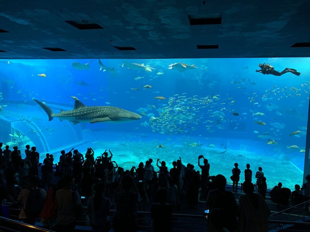 Greatness of nature even in the pool
