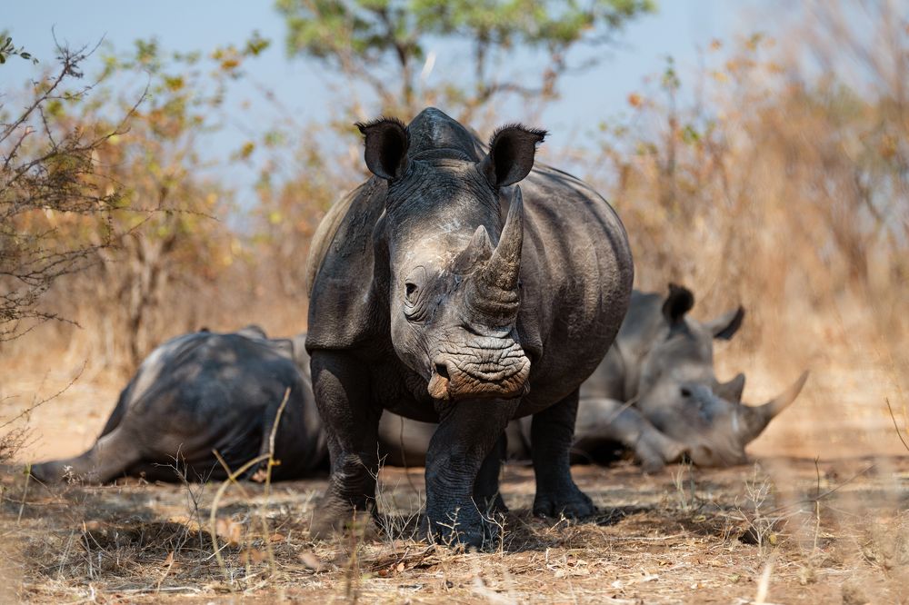 Photograph by Дмитрий Николаев